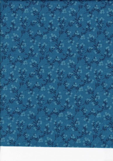 COLLEZIONE EDYTASITAR BLUEESCAP spring 9966 - Clicca l'immagine per chiudere