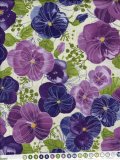 COLLEZIONE PANSY'S POISIES 48720 11